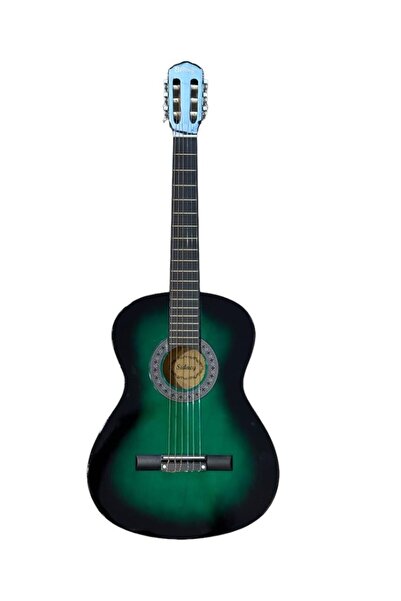 Genel Markalar Yeşil Gitar - 4/4 Boy Öğrenci Gitarı Kılıf Ve Pena Hediye !