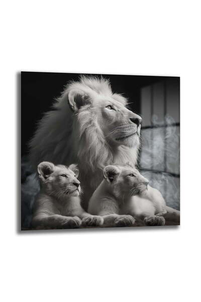 White Lion Family Square Glass Painting