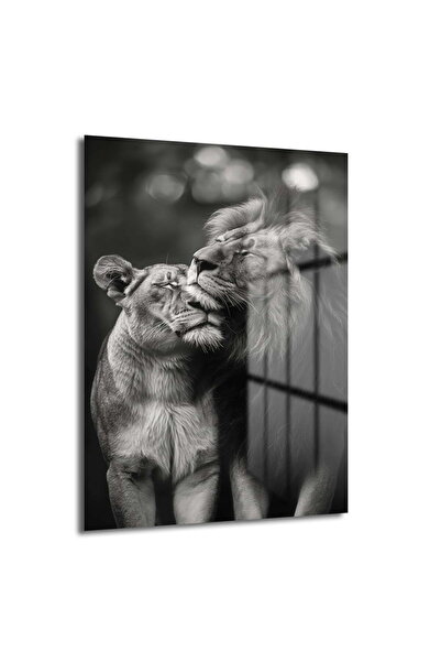 GLAZELLA Siyah Beyaz Aslan Çifti Dekoratif Dikey Cam Tablo