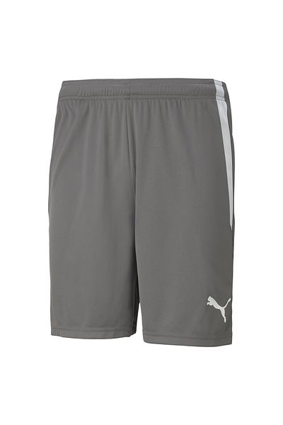 Puma Pánské šortky Teamliga Fotbalové šortky70492413 Šedé