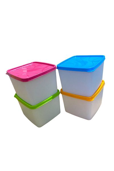 HOLLYHOME 4 Pieces 1.1 lt Alaska No Frost Storage Container, Deep Freezer Container