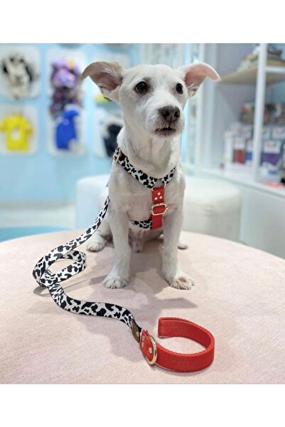 TheTailor The Tailor Leo Mix Göğüs Tasması Xs-l Beden