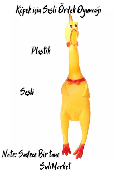 PETQUATRO Köpek İçin Plastik Sesli Tavuk Ördek Oyuncağı