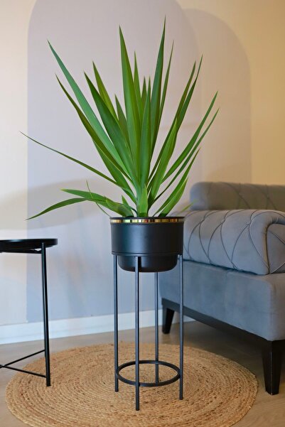 Genel Markalar Metal Saksı Ayaklı Çiçeklik Dekoratif Siyah Saksı Vazo Saksılı...