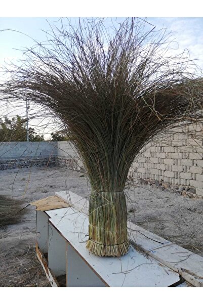 emek hasır Püsgül Otu1 X3 Saçak Otu Dekarosyon Süsü Çin Otu