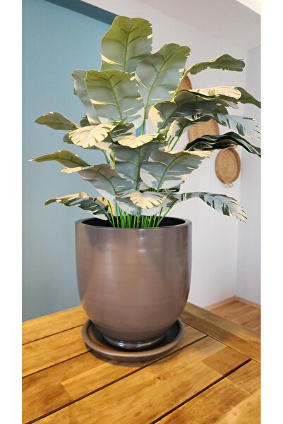 Balcony Flower 30 Cm Exclusive Salon Saksı