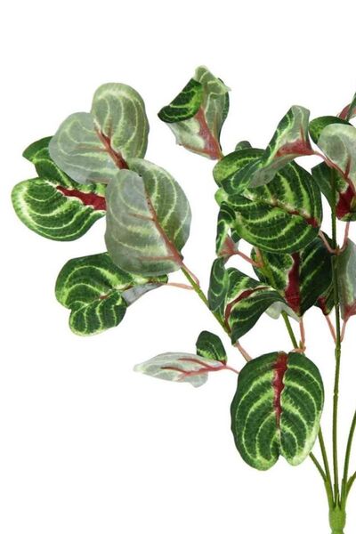 Dekorsende Calethea artificială verde