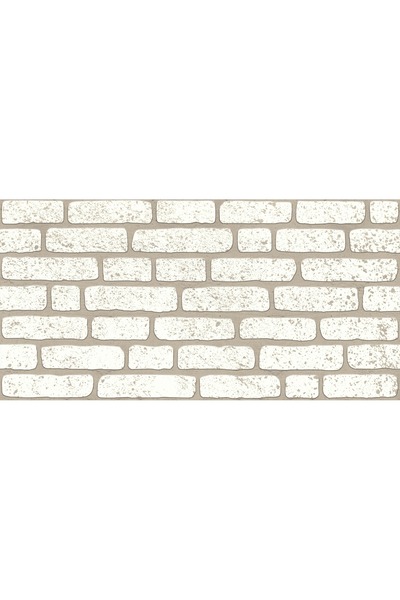 KARE PLUS Tuğla Duvar Paneli 100 X 50 CM TD06-110 (5 Adet Fiyatı )