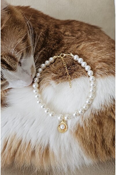 LE&DA Accessory İncili, kararmaz kaliteli gold çelik zincir, kedi tasması, kedi kolyesi, deniz kabuğu uç