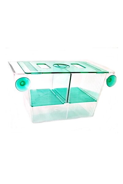 Kardelen Iki Bölmeli Büyük Akvaryum Balık Yavruluk Yavruluğu 20x10x10cm