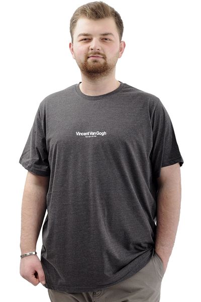 ModeXL تي شيرت رجالي - موديل XL، مقاس كبير، رقبة دائرية، مطبوع، أنثراسايت VAN GOGH U24040