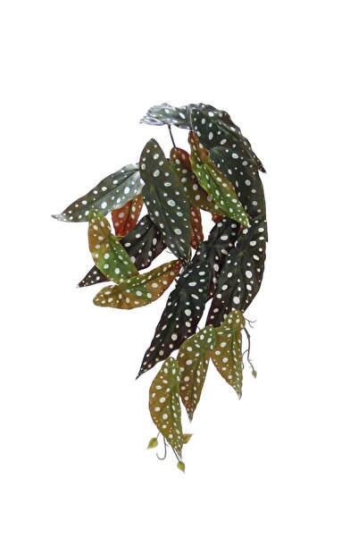 Dekorsende Yapay Fil Kulağı Sarmaşık Demeti 55 Cm