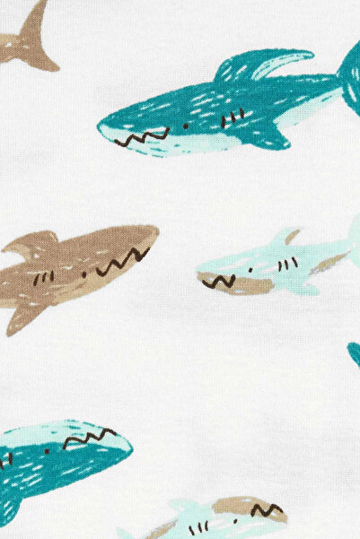 Carter's Boy's Small Pajama Set