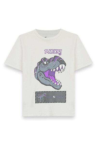 SKECHERS Sk241093 Graphic Tee Off-White Ανδρικό μπλουζάκι για αγόρι