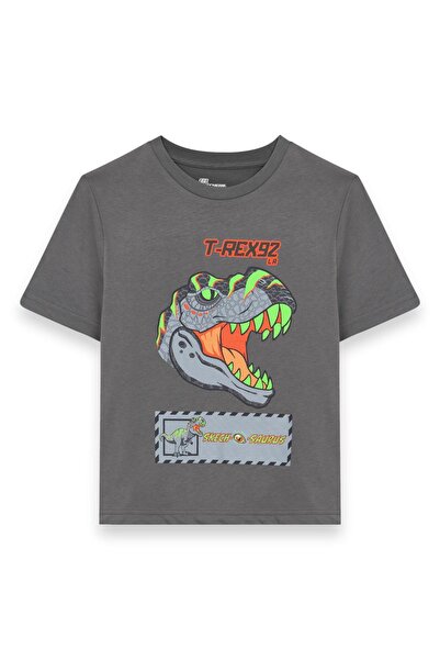 SKECHERS Sk241093 Graphic Tee B Μανίκια Γκρι Ανδρικό Παιδικό Μπλουζάκι