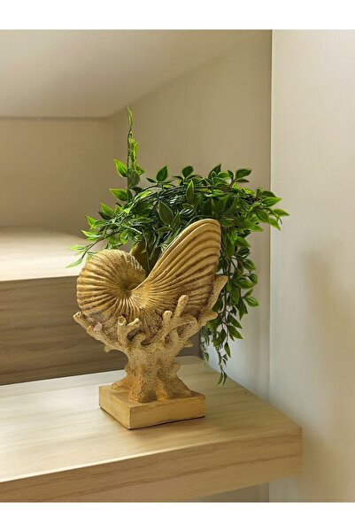 Umay Project Deniz Kabuğu Salyangoz Saksı Vazo Obje Polyester Heykel - Çocuk ...