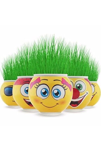 Genel Markalar Çim Adam Çimoji 1.kalite Malzeme Çim Adamlar Okul Etkinlikleri Kutlama 1 Kutu 24 Adet