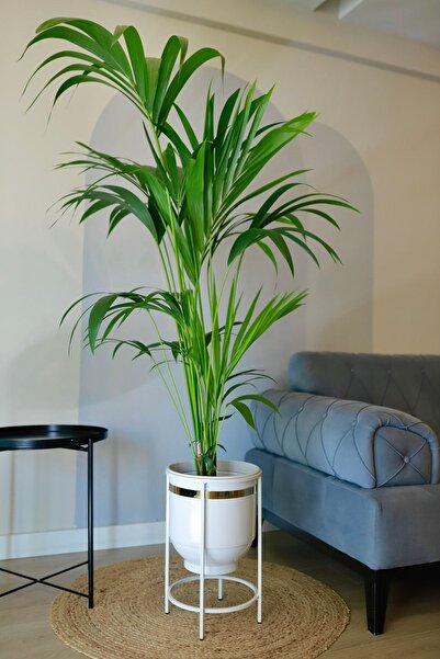 Genel Markalar Dekoratif Metal Saksı Ayaklı Saksı Vazo Saksılık Çiçeklik Beya...