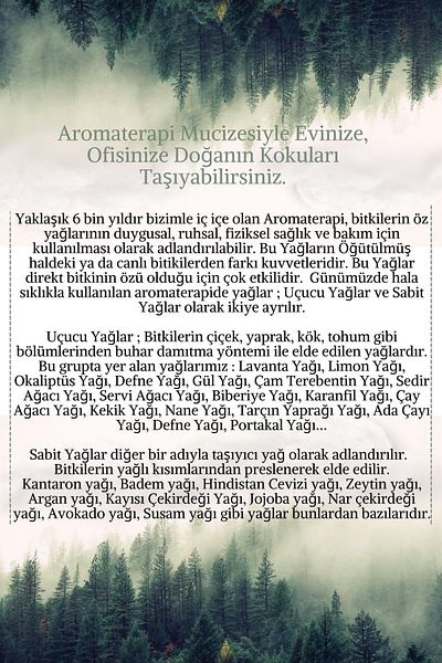 Lavendrose مجموعة العلاج العطري بالزيت العطري من Forest Air، زيت البرغموت النقي بنسبة 100%، زيت الأرز، زيت السرو