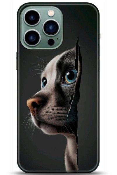 adveksiyon Apple iPhone 14 Pro Case Hd Printed Case - Followed Institution 5108