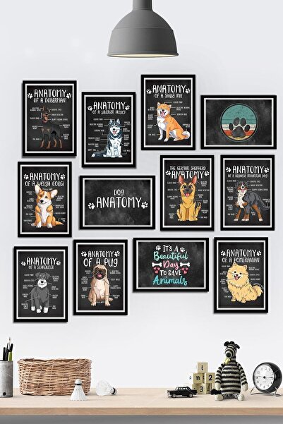 Tontilika 12 Parça Çerçeve Görünümlü Köpekler Anatomi Veteriner Temalı Mdf Ta...