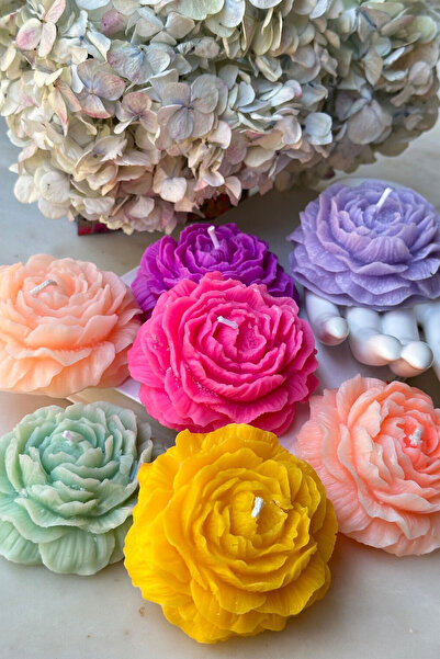 ANCİLLA 7'Li Set - Rengarenk Exotic Kokulu Dekoratif Şakayık Çiçeği Mum Seti ...