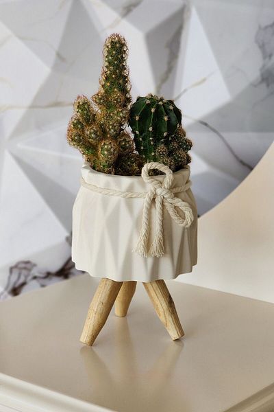 SERENGETİ HOME Decorative Concrete Flower Pot - Small Decorative Object & Figurine - Handmade Unique Decor - Single