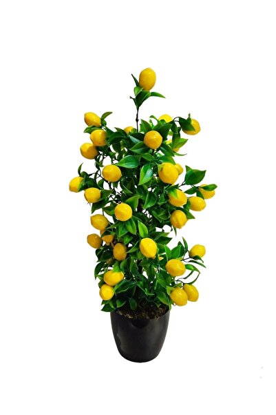 Cennet Home Siyah Parlak Saksıda Limon Ağacı Mutfak Masaüstü Dekoratif Yapay ...