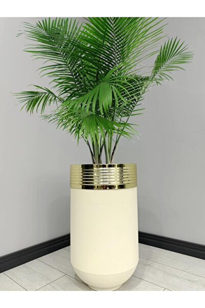 evdeniste ELEGANT Dekoratif Gold Darbuka Krem Saksı 60cm