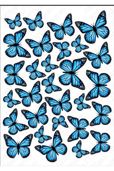 Atölye7Tasarım Blue Butterfly Illustrated Edible Cake Cookie Top Decoration Paper