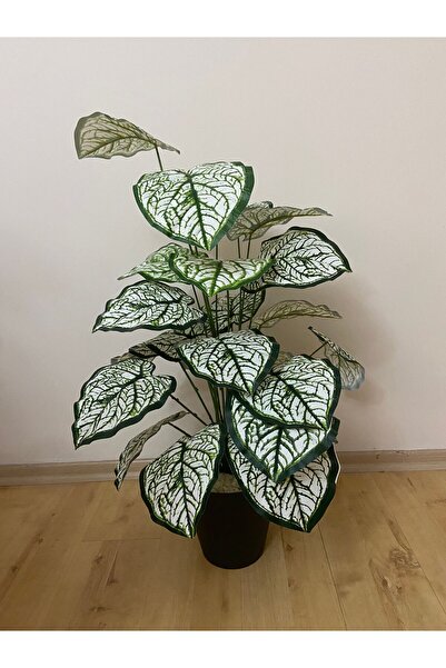 Lilac Home Yapay Çiçek Siyah Saksıda Egzotik Yapraklı Salon Çiçeği