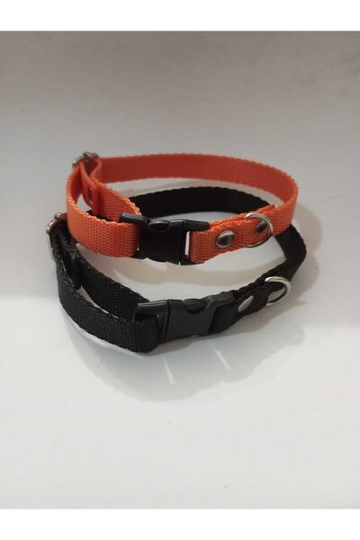 Loyal Friend Store köpek ve kedi tasma 2li set ((25 cm -35 cm arası))