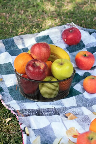 EVSTYLE MEYVELİK & EKMEKLİK 24 CM