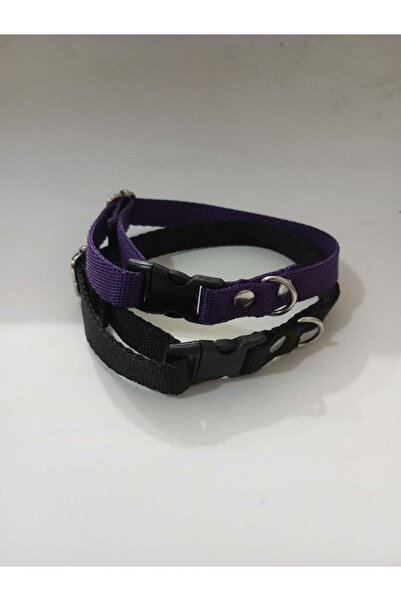 Loyal Friend Store köpek ve kedi tasma 2li set ((25 cm -35 cm arası))