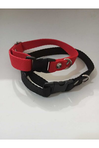 Loyal Friend Store köpek ve kedi tasma 2li set ((25 cm -35 cm arası))