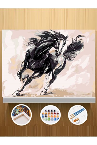 CNS HOBBY TUVAL Sayılarla Boyama Ve Hobi Seti Tuvale Gerilmiş Tablo Seti Kasn...