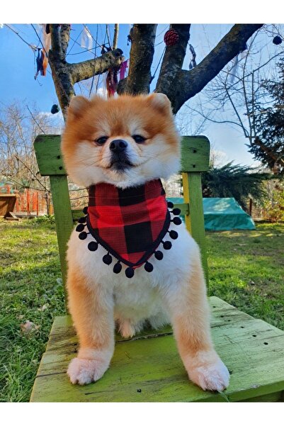 Loyal Friend Store Kareli Köpek Fuları (20-35 Cm)