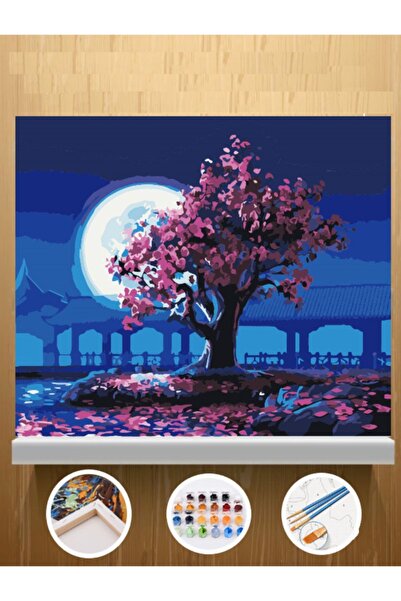 CNS HOBBY TUVAL Tuvale Gerilmiş Kasnaklı Sayılarla Boyama Ve Hobi Seti 30x40 cm