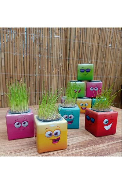 OMZ Wren Shop 31 Pieces Emoji Figure Midi Cube - Boy Voice for Man Birthday and Special Occasions