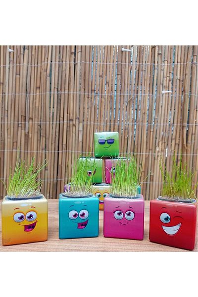 OMZ Wren Shop 31 Pieces Emoji Figure Midi Cube - Boy Voice for Man Birthday and Special Occasions