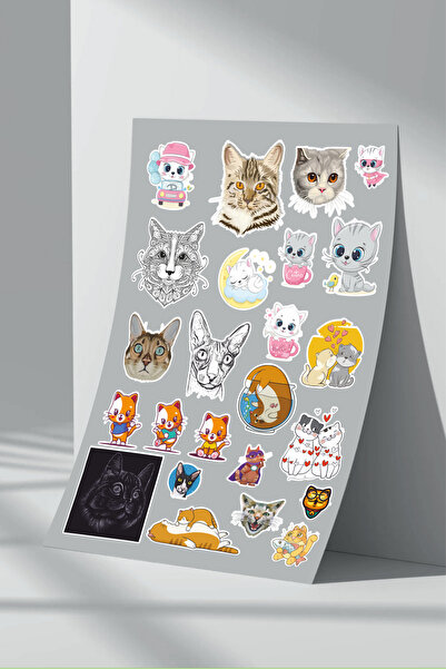 Sticker Market Set od 8 mačka nalepnica