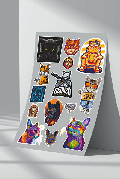Sticker Market Set de autocolante pentru pisici de 13 piese