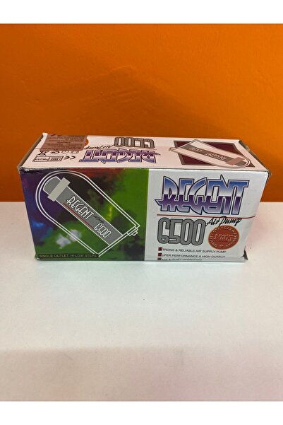 Regent 6500 Hava Motoru Tek Çıkışlı (Sessiz)