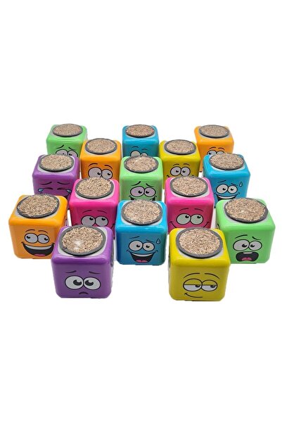 oyuncaksepeti 15'li Karışık 3 Tarafı Emojili Figürlü Küp Çim Adamlar Okul Ve Okul Öncesi Hediyelik Çimadam