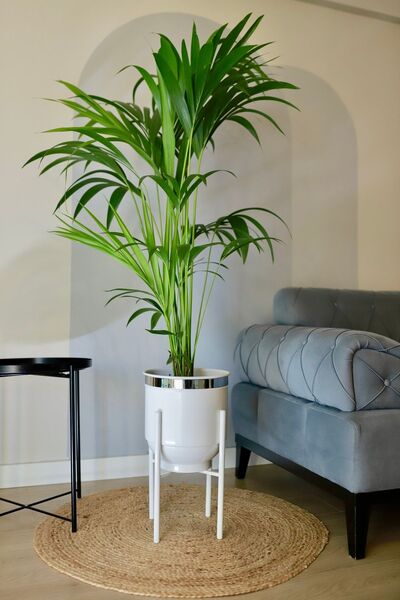 Özge design Metal Saksı Ayaklı Çiçeklik Dekoratif Beyaz Saksı Gümüş Detay Vaz...