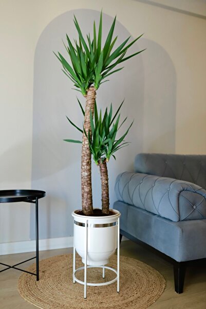 Genel Markalar Dekoratif Metal Saksı Ayaklı Saksı Vazo Çiçeklik Beyaz Gümüş D...