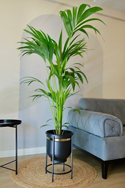 Genel Markalar Metal Saksı - Ayaklı Saksı - Vazo - Saksılık - Çiçeklik - Deko...