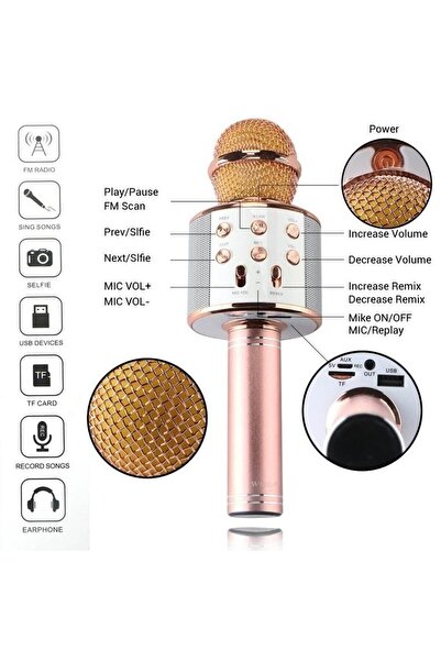 BLUE SPECTRUM Karaoke Mikrofon Bluetooth Aux Usb Sd Kart Girişli (WS-858)