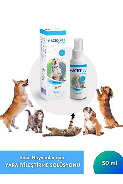 Acto ® Vet Solutıon 50 ml | Evcil Hayvanlar Için Yara Iyileştirme Solüsyonu