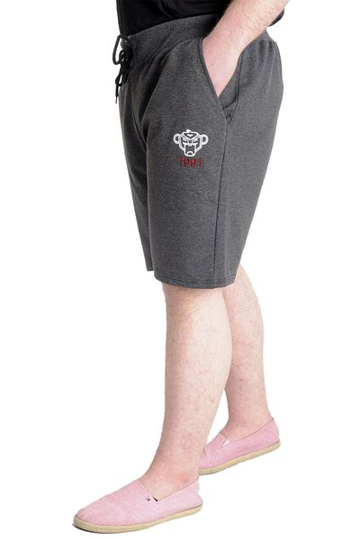 ModeXL شورت رجالي مقاس كبير موديل XL 1991 23410 أنثراملانج
